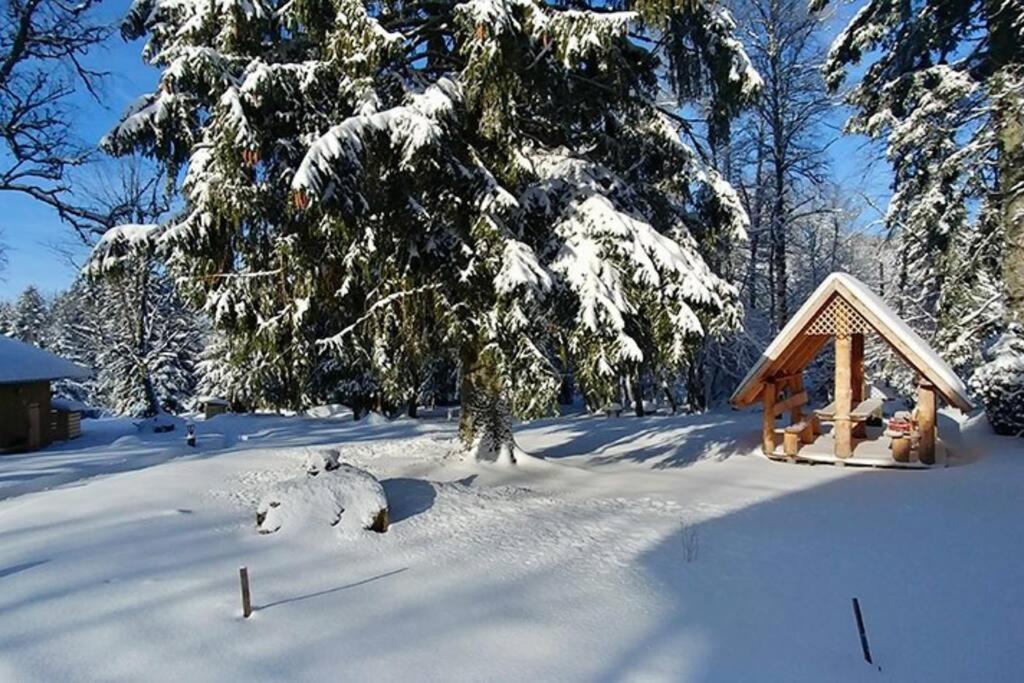 Le Petit Loup, Appartement Neuf Avec Jardin Gerbépal 外观 照片